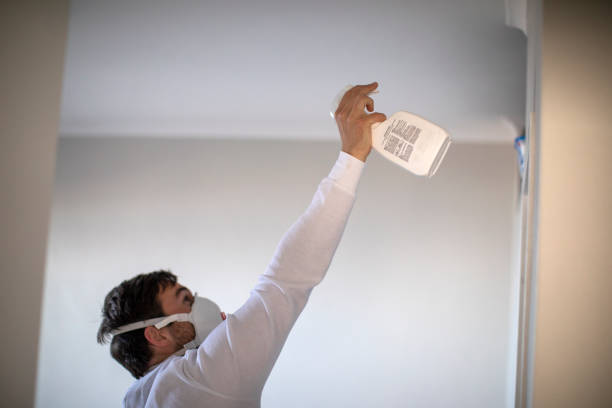 Best Office Mold Removal Services  in Sierra View, PA