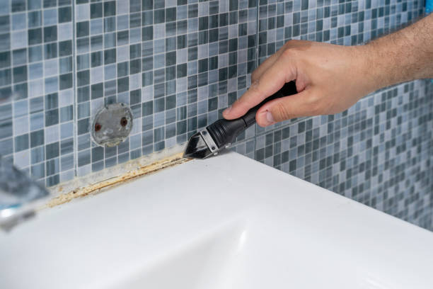 Best Fast Mold Removal  in Sierra View, PA